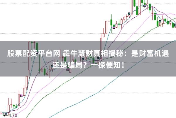 股票配资平台网 犇牛聚财真相揭秘：是财富机遇还是骗局？一探便知！
