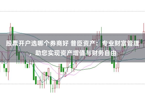 股票开户选哪个券商好 普臣资产：专业财富管理，助您实现资产增值与财务自由