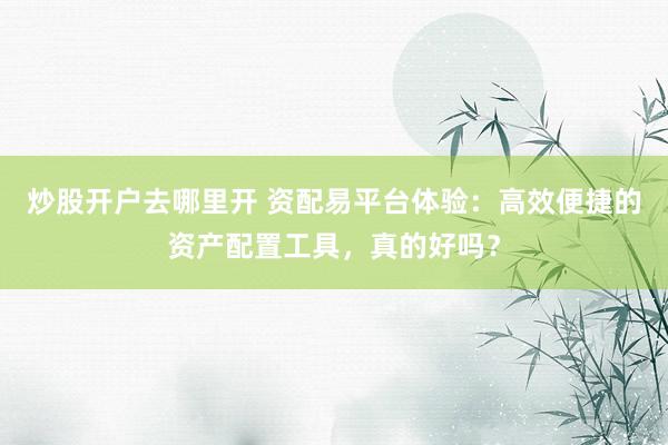 炒股开户去哪里开 资配易平台体验：高效便捷的资产配置工具，真的好吗？