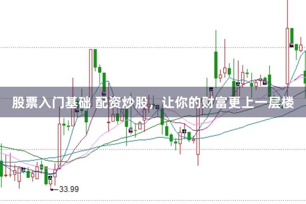 股票入门基础 配资炒股，让你的财富更上一层楼