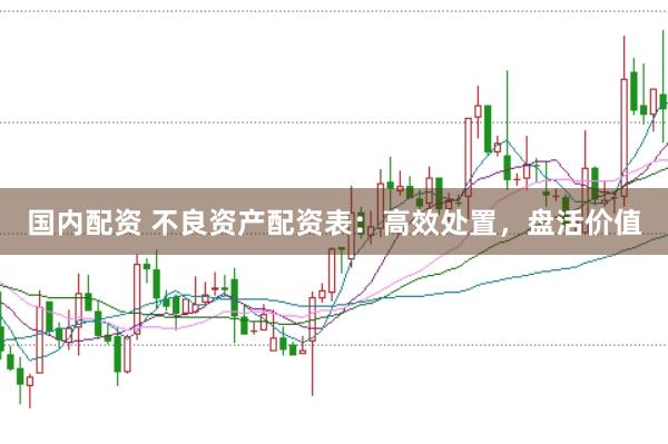 国内配资 不良资产配资表：高效处置，盘活价值