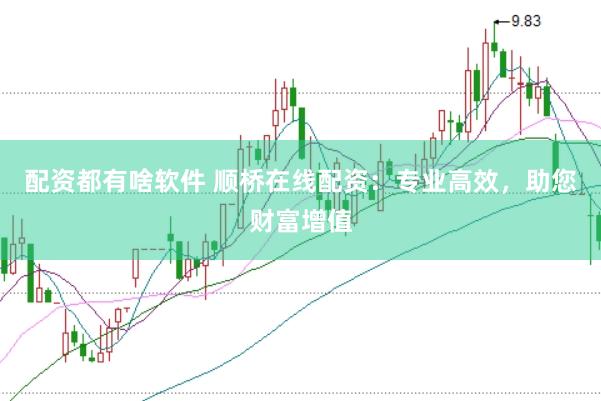 配资都有啥软件 顺桥在线配资：专业高效，助您财富增值