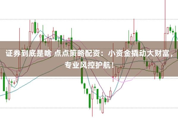 证券到底是啥 点点策略配资：小资金撬动大财富，专业风控护航！