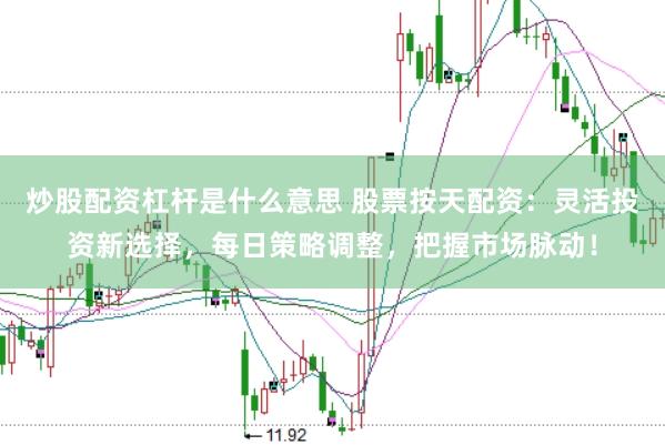炒股配资杠杆是什么意思 股票按天配资:灵活投资新选择,每日策略调整,把握市场脉动!