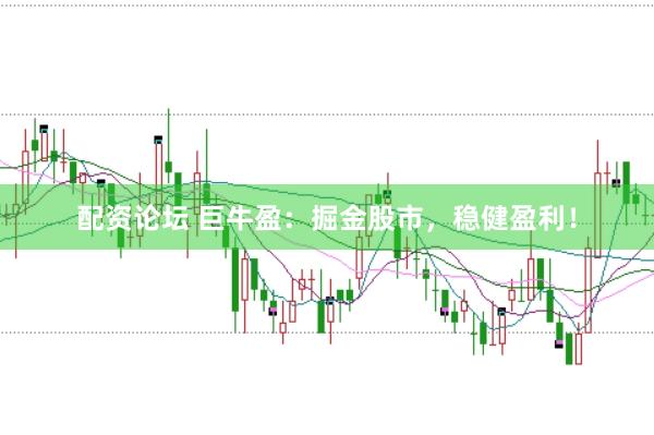 配资论坛 巨牛盈:掘金股市,稳健盈利!