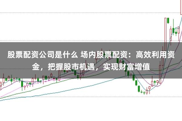股票配资公司是什么 场内股票配资：高效利用资金，把握股市机遇，实现财富增值