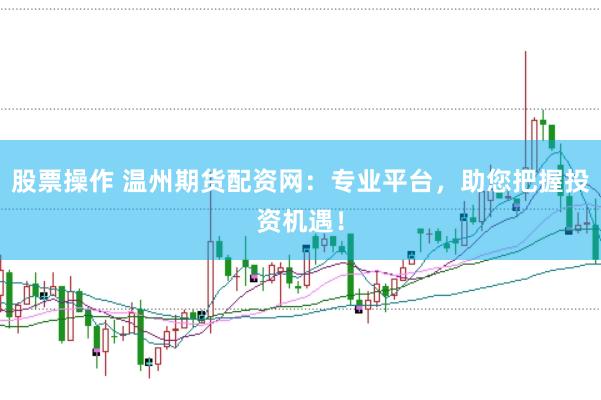 股票操作 温州期货配资网:专业平台,助您把握投资机遇!