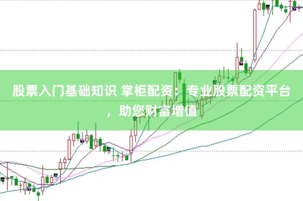 股票入门基础知识 掌柜配资:专业股票配资平台,助您财富增值