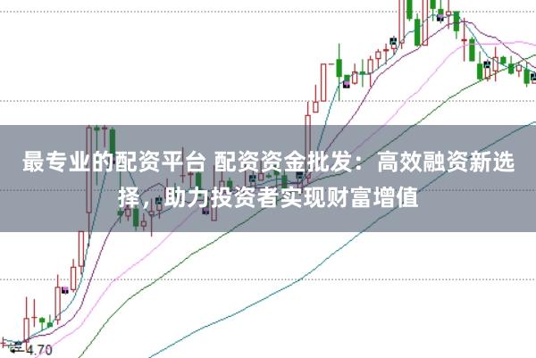 最专业的配资平台 配资资金批发：高效融资新选择，助力投资者实现财富增值