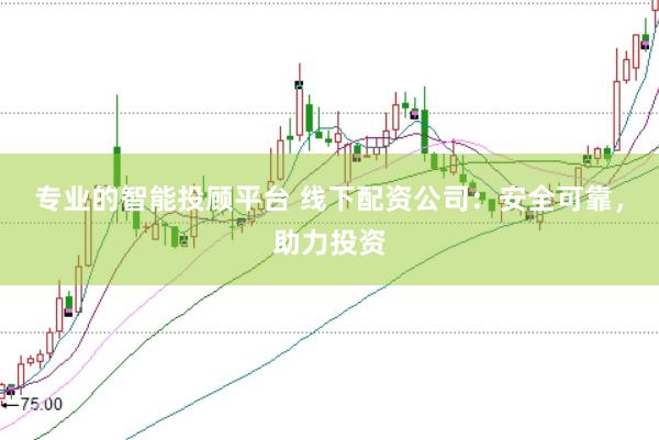 专业的智能投顾平台 线下配资公司:安全可靠,助力投资