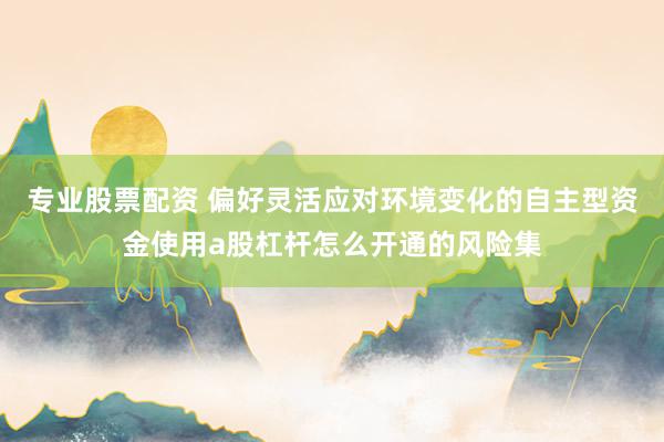专业股票配资 偏好灵活应对环境变化的自主型资金使用a股杠杆怎么开通的风险集