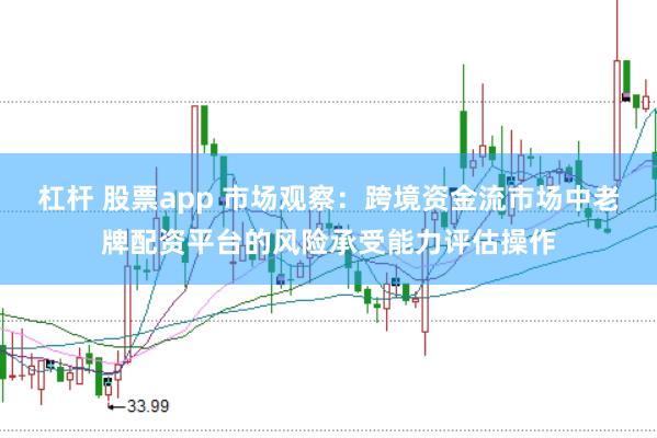 杠杆 股票app 市场观察：跨境资金流市场中老牌配资平台的风险承受能力评估操作