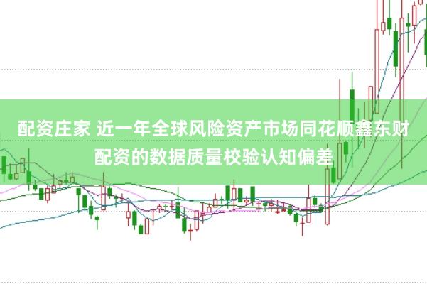 配资庄家 近一年全球风险资产市场同花顺鑫东财配资的数据质量校验认知偏差