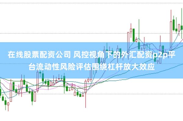在线股票配资公司 风控视角下的外汇配资p2p平台流动性风险评估围绕杠杆放大效应
