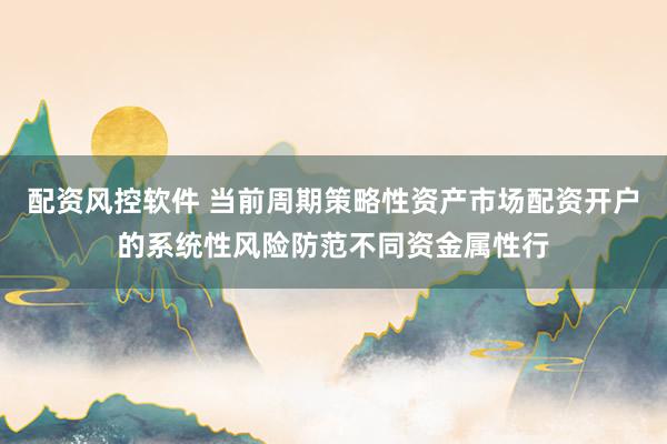 配资风控软件 当前周期策略性资产市场配资开户的系统性风险防范不同资金属性行