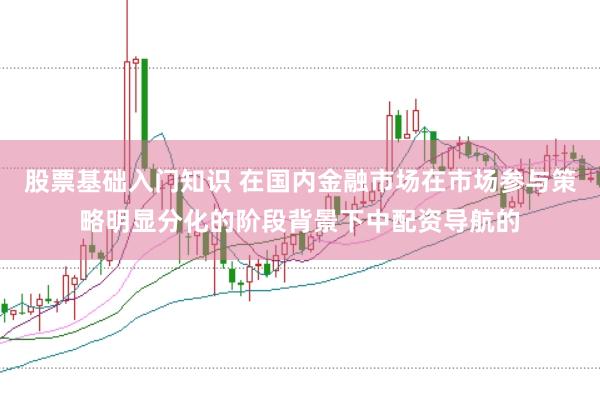 股票基础入门知识 在国内金融市场在市场参与策略明显分化的阶段背景下中配资导航的