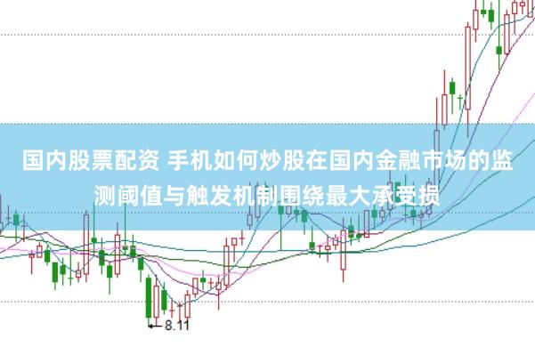 国内股票配资 手机如何炒股在国内金融市场的监测阈值与触发机制围绕最大承受损