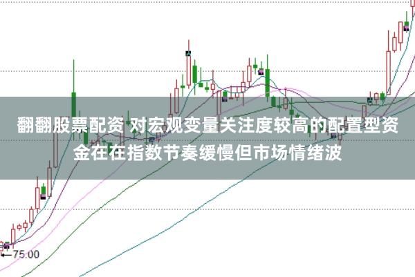 翻翻股票配资 对宏观变量关注度较高的配置型资金在在指数节奏缓慢但市场情绪波