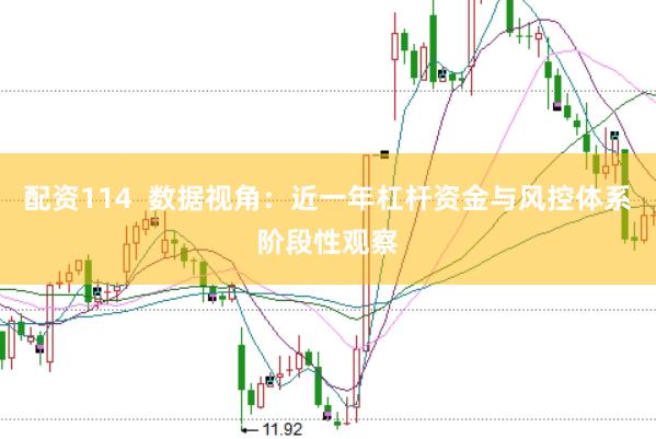 配资114  数据视角：近一年杠杆资金与风控体系阶段性观察
