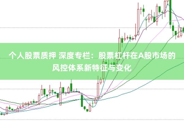 个人股票质押 深度专栏:股票杠杆在A股市场的风控体系新特征与变化