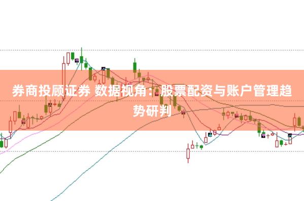 券商投顾证券 数据视角：股票配资与账户管理趋势研判