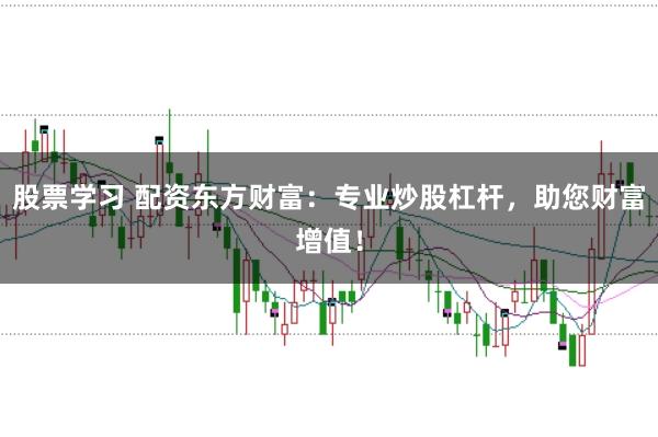 股票学习 配资东方财富：专业炒股杠杆，助您财富增值！