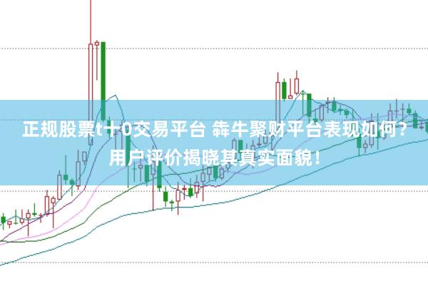 正规股票t十0交易平台 犇牛聚财平台表现如何?用户评价揭晓其真实面貌!
