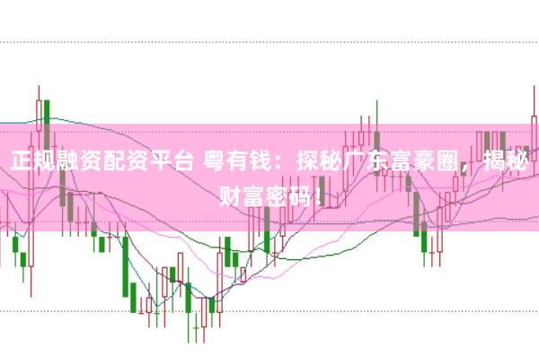 正规融资配资平台 粤有钱：探秘广东富豪圈，揭秘财富密码！