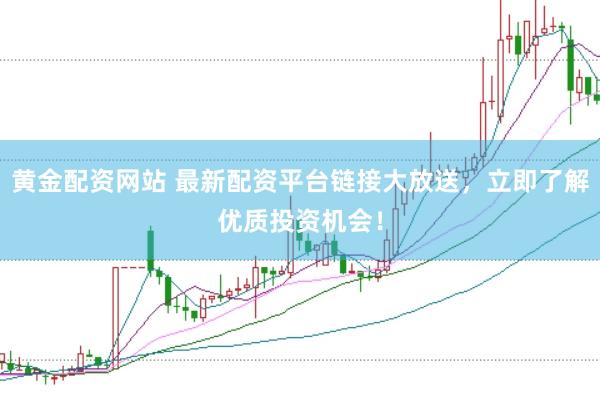 黄金配资网站 最新配资平台链接大放送,立即了解优质投资机会!