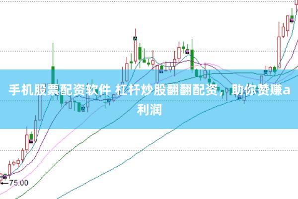 手机股票配资软件 杠杆炒股翻翻配资，助你赞赚a利润
