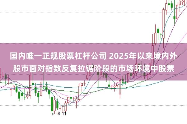 国内唯一正规股票杠杆公司 2025年以来境内外股市面对指数反复拉锯阶段的市场环境中股票