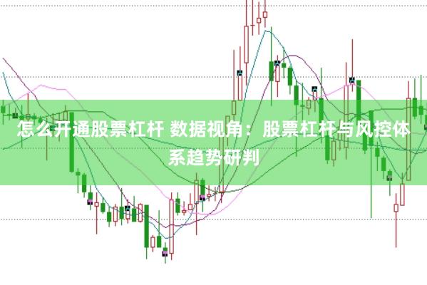 怎么开通股票杠杆 数据视角：股票杠杆与风控体系趋势研判
