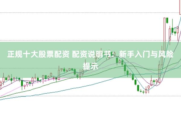 正规十大股票配资 配资说明书：新手入门与风险提示