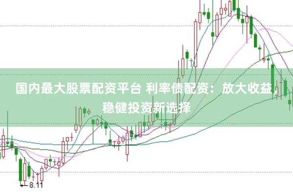 国内最大股票配资平台 利率债配资：放大收益，稳健投资新选择