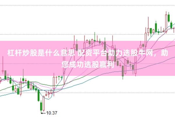 杠杆炒股是什么意思 配资平台助力选股牛网，助您成功选股赢利