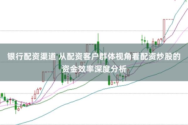 银行配资渠道 从配资客户群体视角看配资炒股的资金效率深度分析
